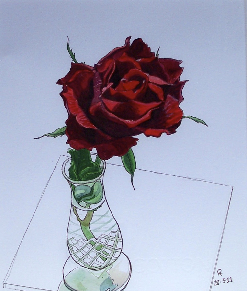 Rose for red cross auction.