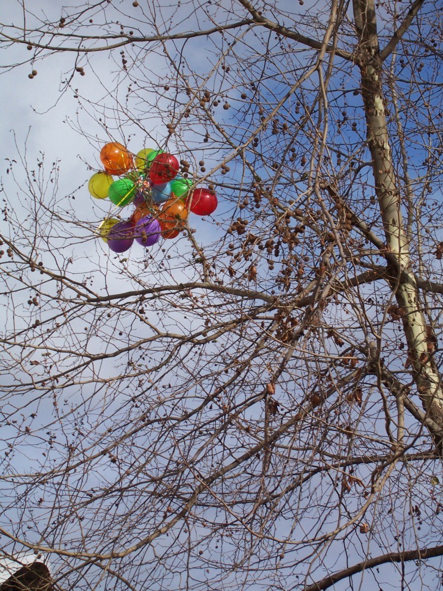 Balloons in a tree King's Road Chelsea.