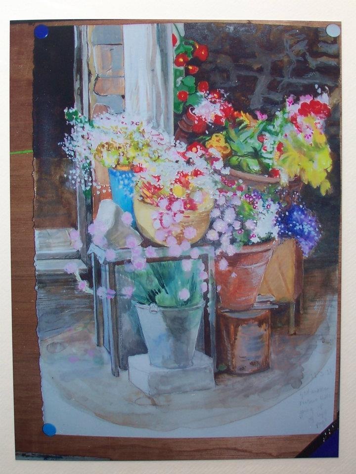 Flowers in Yorkshire.